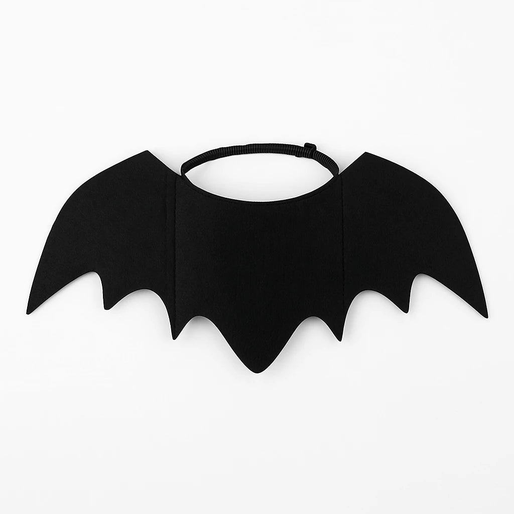 175798953668c8caa00c9e44203081