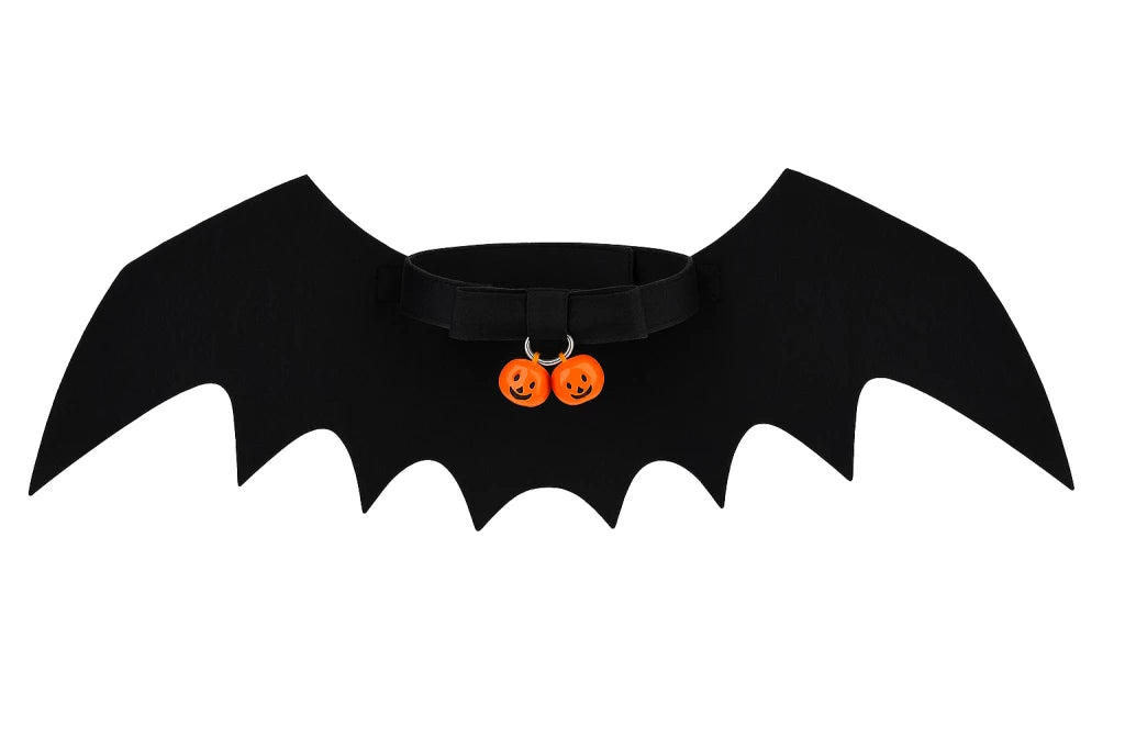 175798955668c8cab461bb94803690