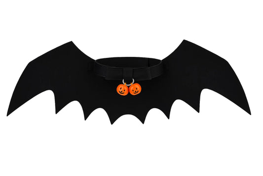 175798955668c8cab461bb94803690