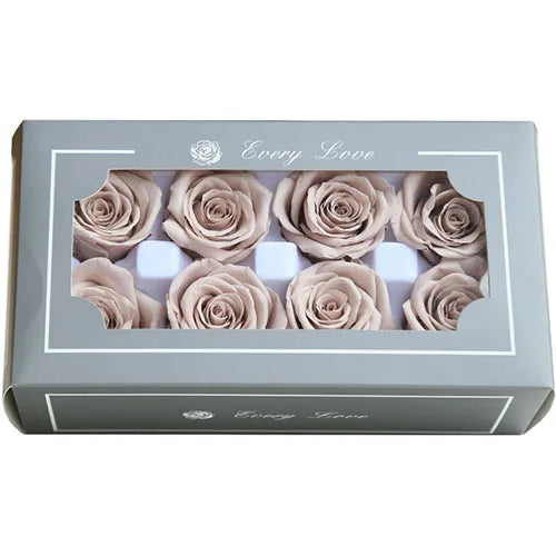 HTB1PXVwaDjxK1Rjy0Fnq6yBaFXaq