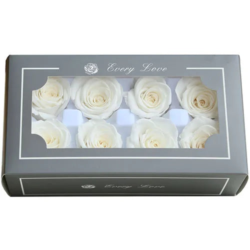 HTB1RPNsayzxK1Rjy1zkq6yHrVXa0