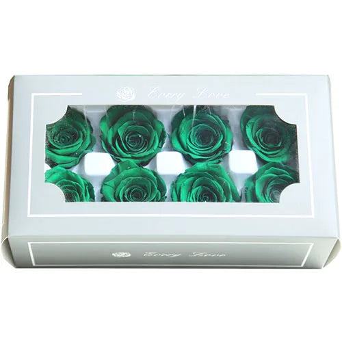 HTB1aSdrasfrK1RkSmLyq6xGApXav