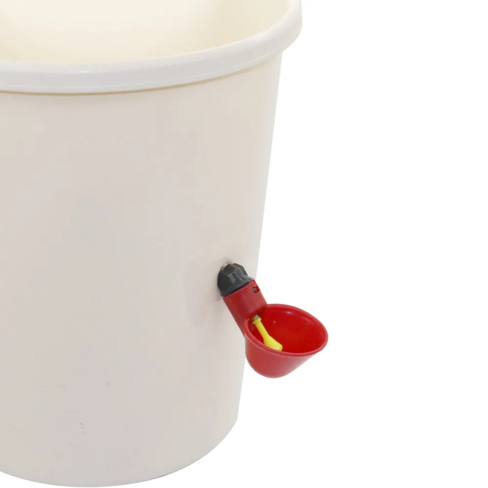 HTB1lXJjavjsK1Rjy1Xaq6zispXaE