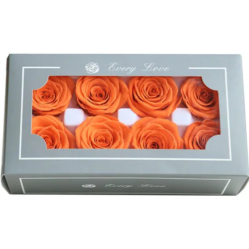 HTB1lrlwayjrK1RjSsplq6xHmVXak