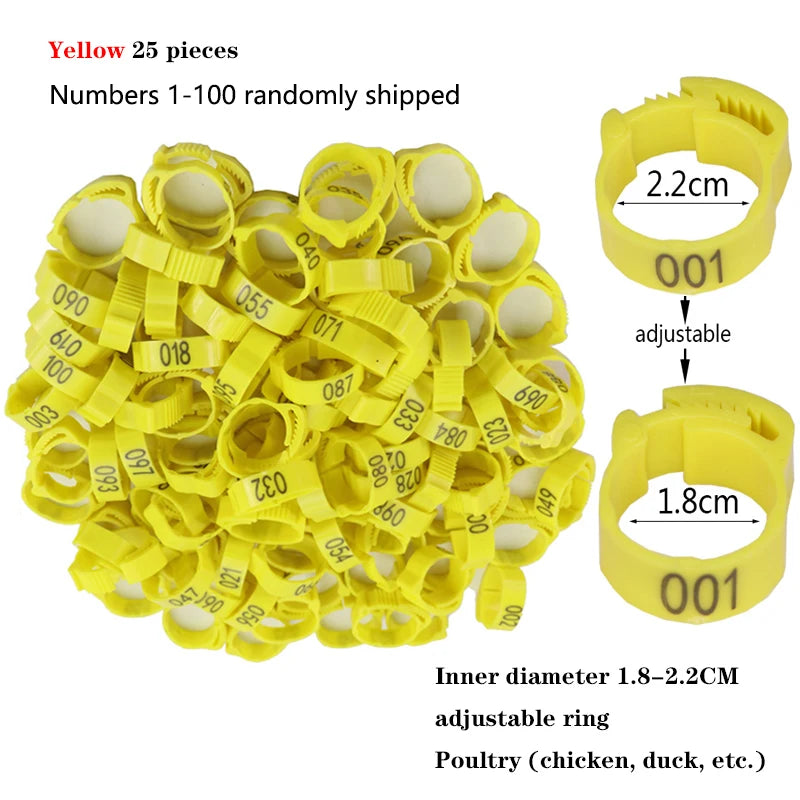 S158ce13a7d3d4e37a1607eeaf0f06013D