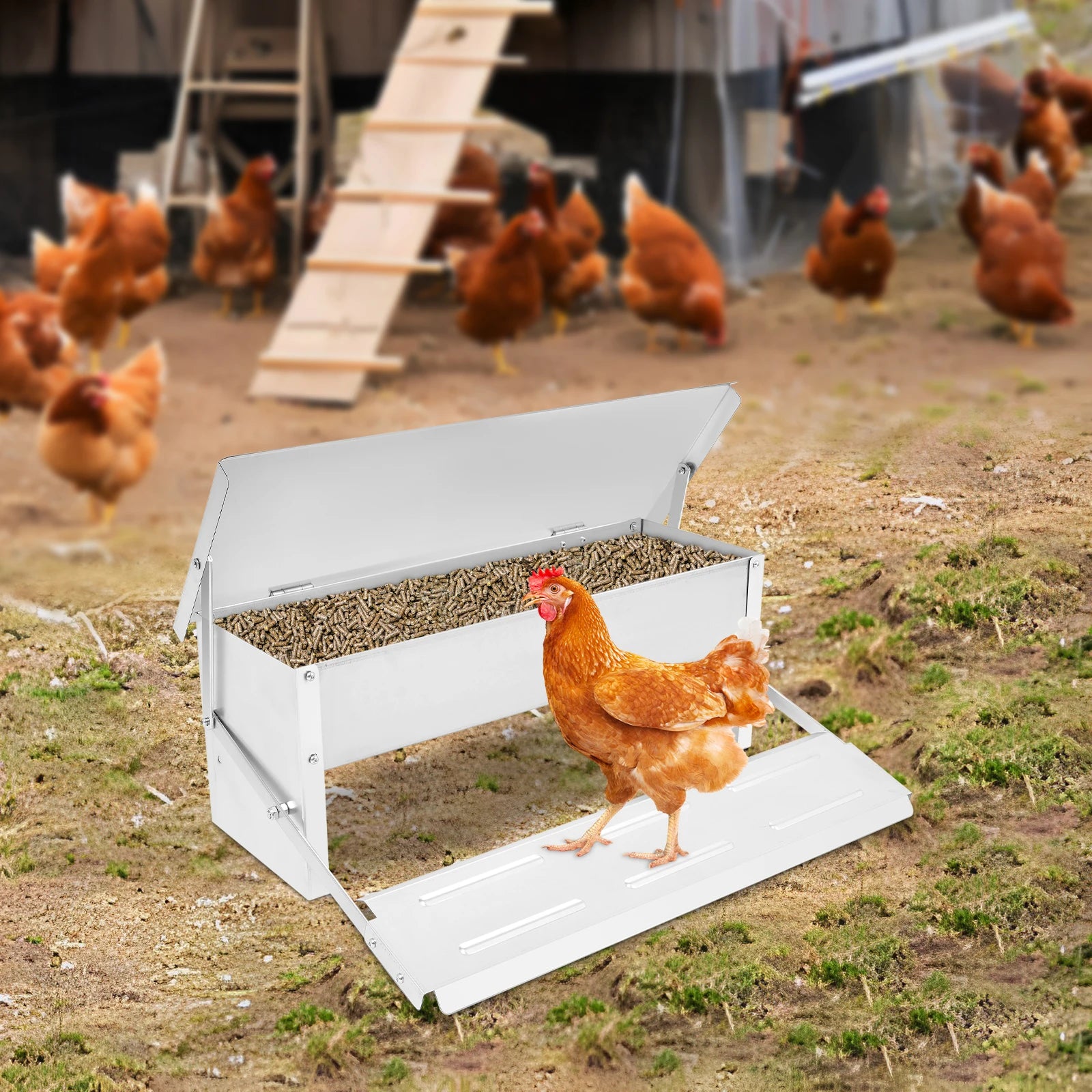 S1a901aec6e7b43d8b1bf16a3785fc828G