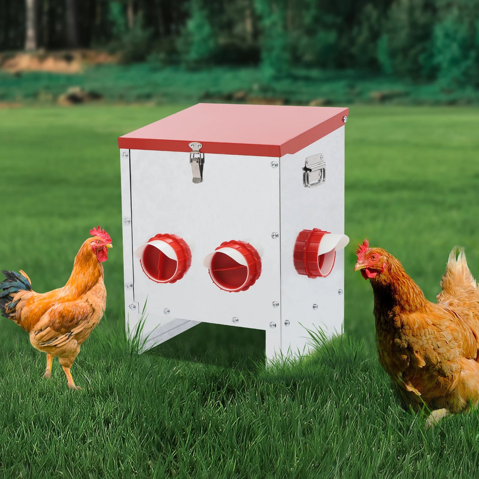 S288e5e8960334e409df86b288c959865h