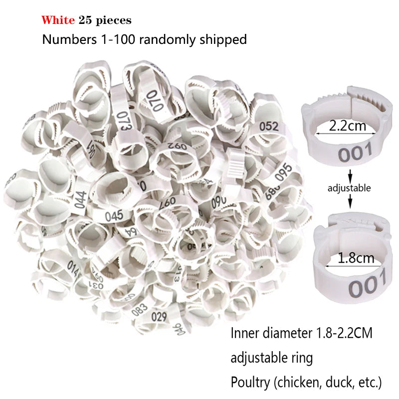 S3b6f8f7301a546ef9e24fac18e53ca33f