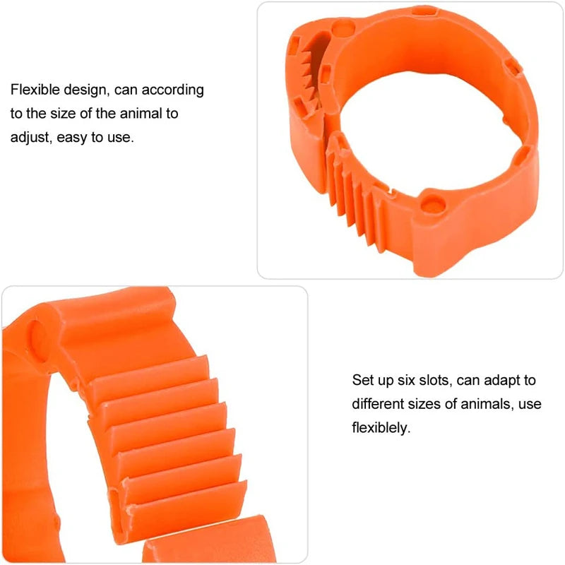 S5b3b076a31954e03a5e4de134e4b25e0J