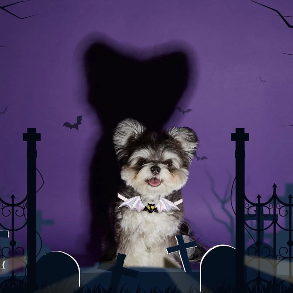 S5e4aef3acd9c43b4a8a3f7a057f68ab4v