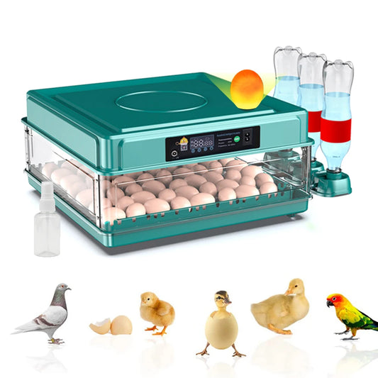 S618f43b9db324646ab4a5b28bc8d754eu