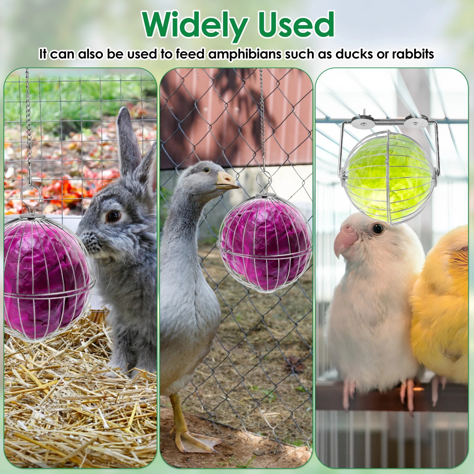 S624a51a7751148dfb3dc1a0aabe4f55am