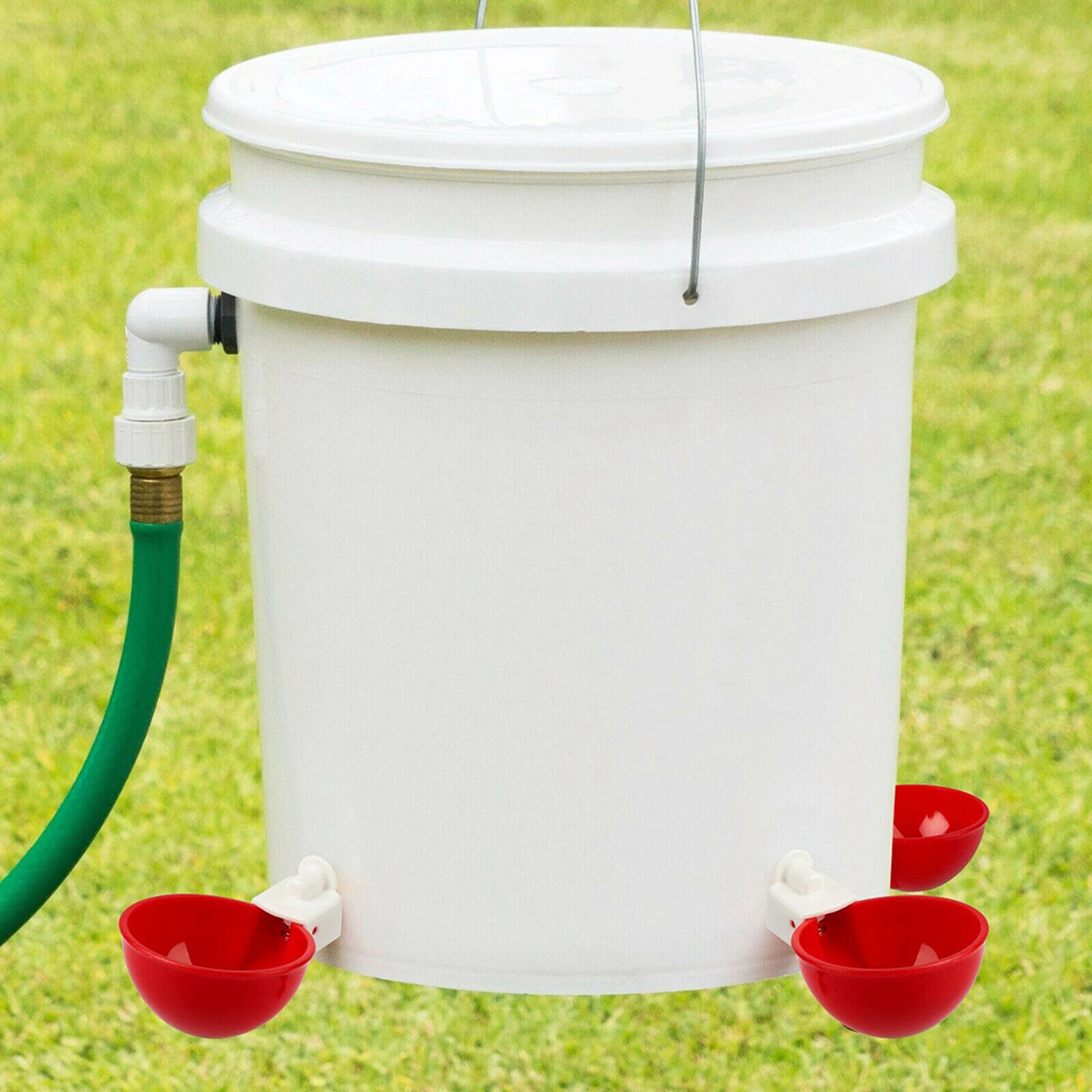 S8509db84a72f45f4ab74506d973e75ed2