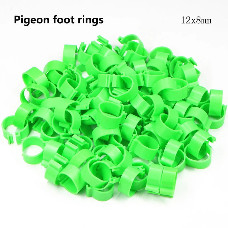 S956b484debcc45c4a0c2ffd0fa1dc06bU