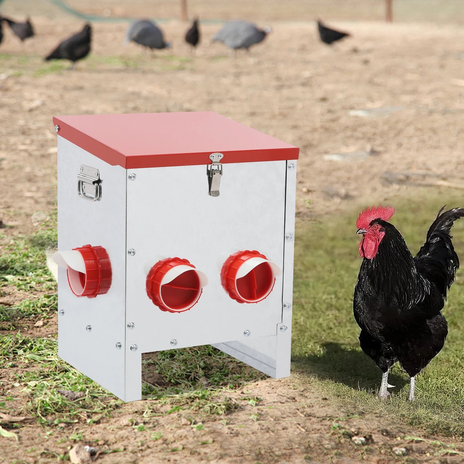 S9808e395fa4f4079a21850db19a2dd4ft