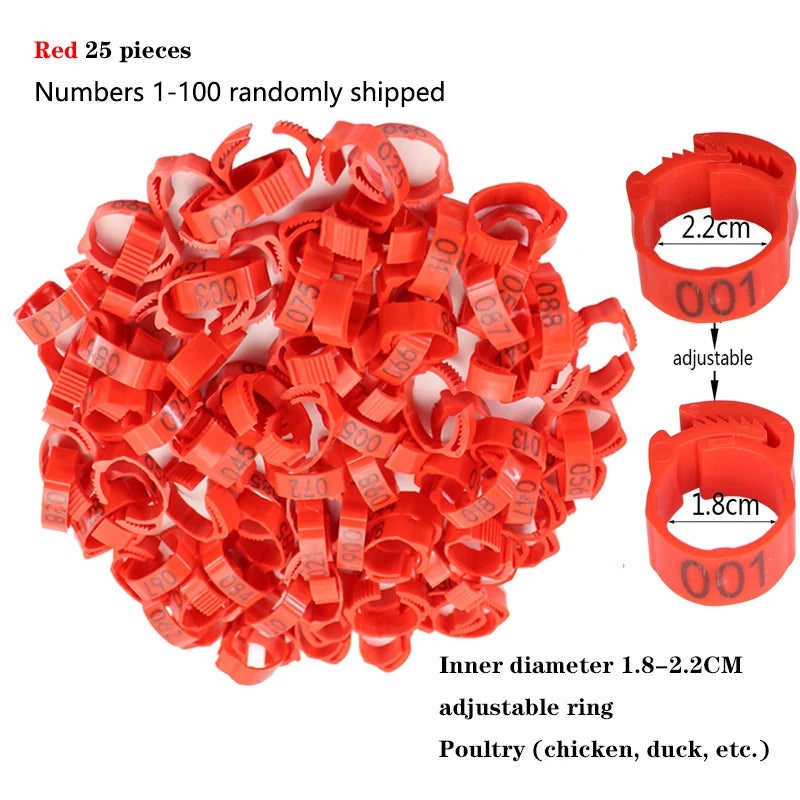 Sa30d31896bd44ceeac8733e8ee8baa7by