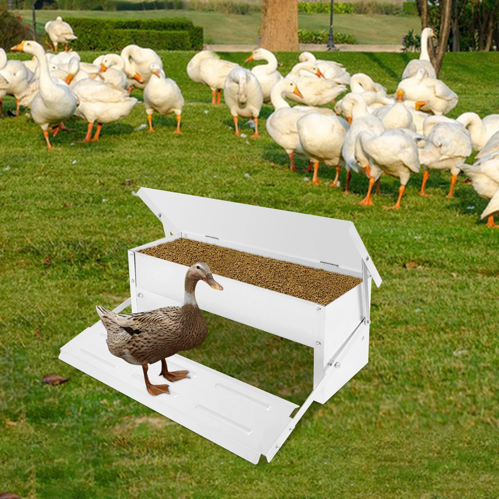 Sbc59a9af30e84353b107d02ef7a41fc4S