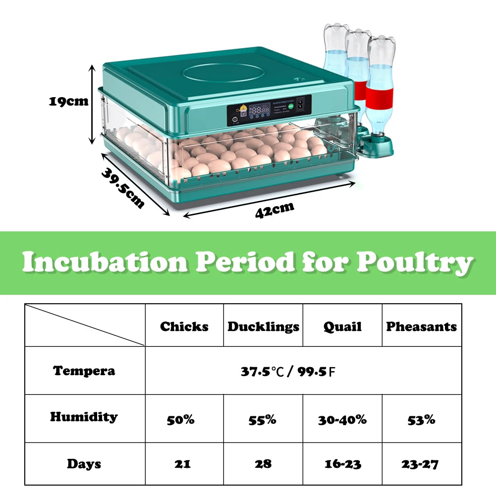 Se1b279e569dd4da6a8ae7428ff5713deh