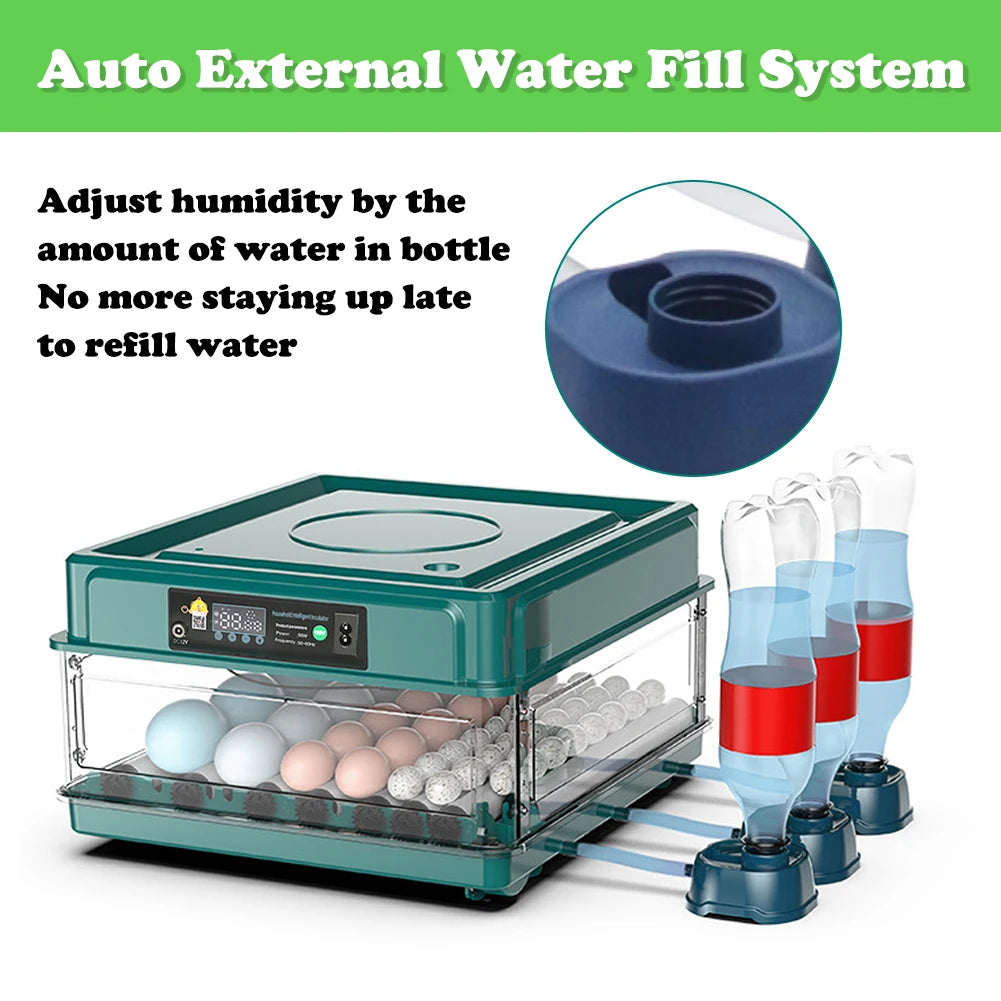 Se438e37a116243a2a9d7f0040760dfd7C